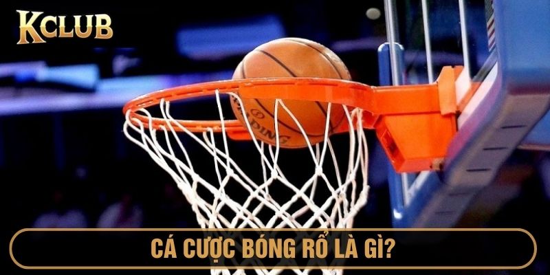Sơ lược về cá cược bóng rổ - hình thức chơi thu hút cược thủ